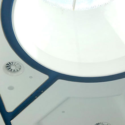 海外動物標識設計公司招聘