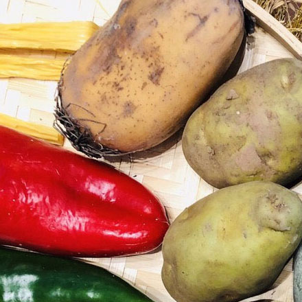 導視系統設計作品案例展示