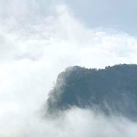 導(dǎo)視系統(tǒng)設(shè)計(jì)作品案例展示