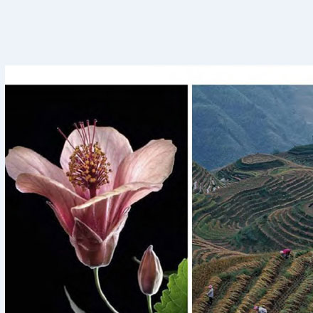 導(dǎo)視系統(tǒng)設(shè)計(jì)作品案例展示