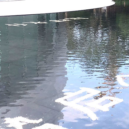 樹的標識牌設(shè)計：植物種類的標志