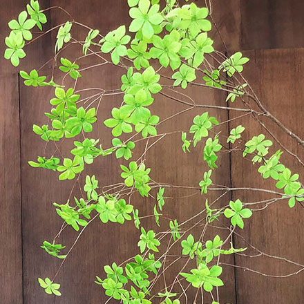 中國能效標(biāo)識怎么看設(shè)計(jì)：能源效率的認(rèn)證標(biāo)志